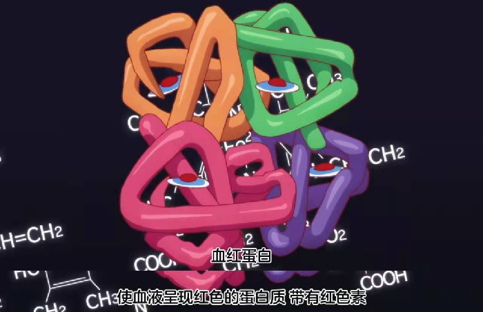 微信图片_20210304165411.png
