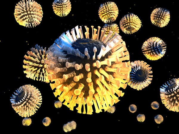 640 (10).png