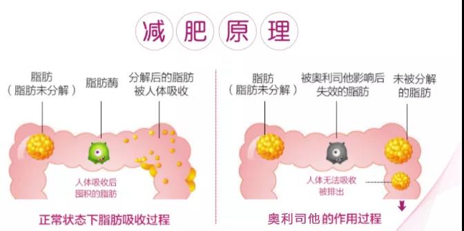 微信图片_20210517132731.jpg