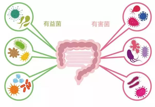 QQ图片20220222092048.png